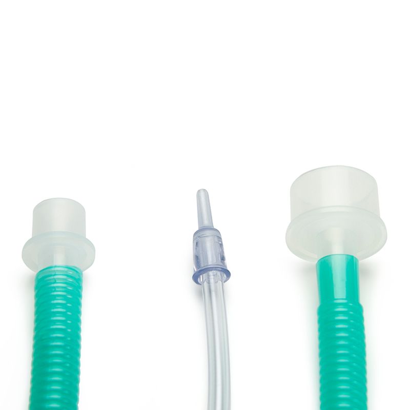 baby-easy-ft-03.jpg